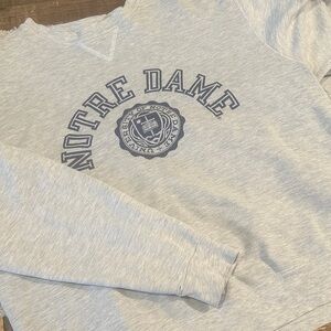 Champion Gray Notre Dame Sweatshirt